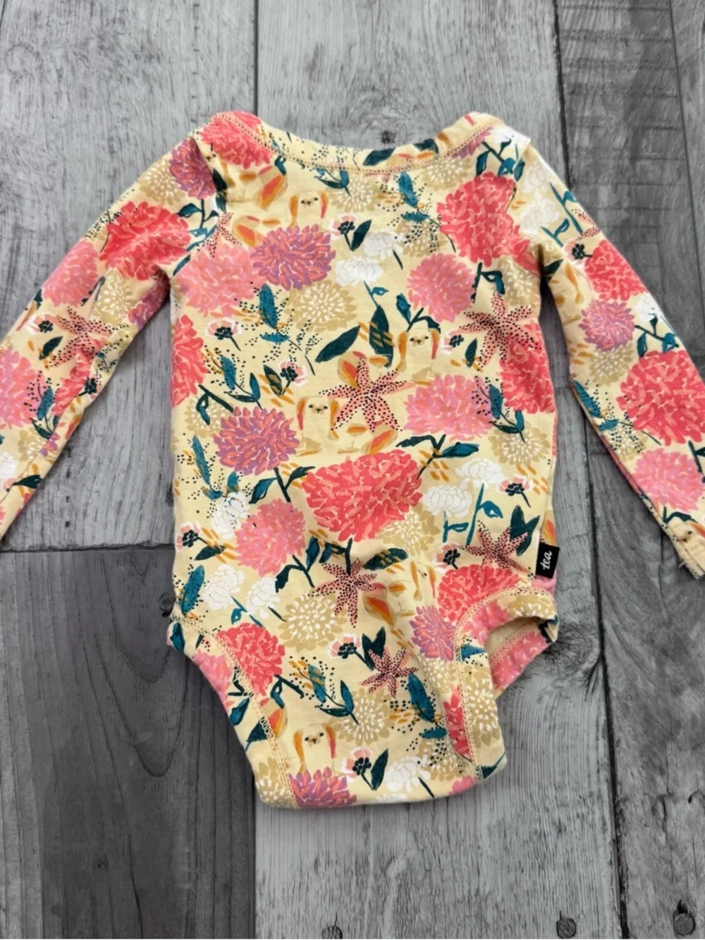 Tea Collection Pink Multicolor Floral Patterned Longsleeve Bodysuit 3-6 Month